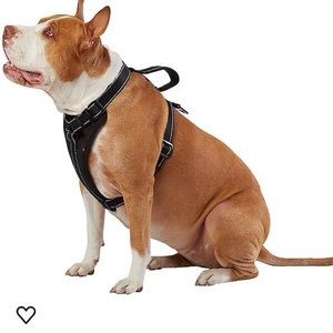 KONG® MAX Neoprene Padded Dog Harness size Large